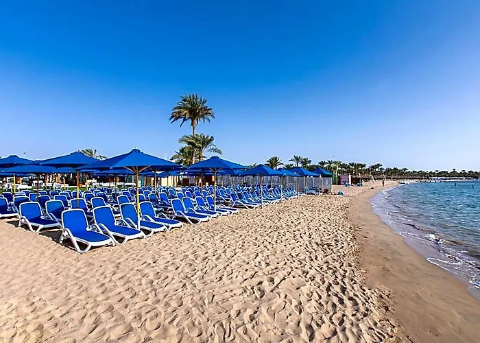 Naama Bay & Hotel